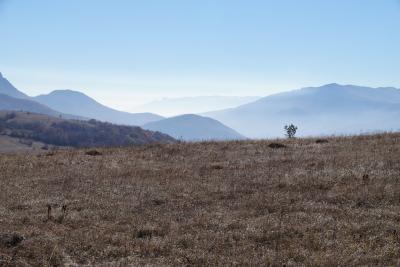 Прикрепленное изображение: A58DSC01546-1.jpg